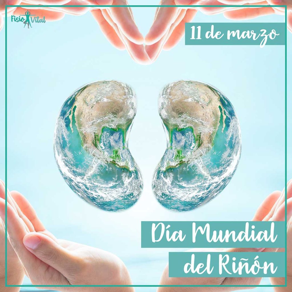 Día Mundial del Riñón | FisioVital